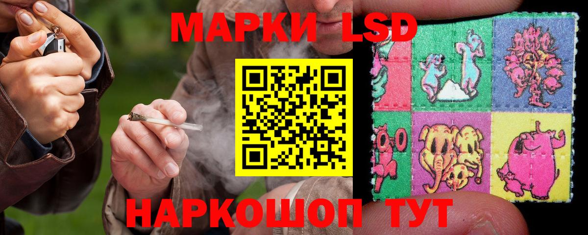 Гашиш Королёв
